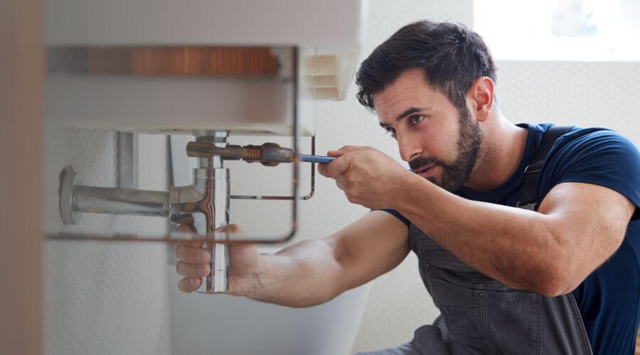 Trap Repair/Replacement in White Cloud, MI